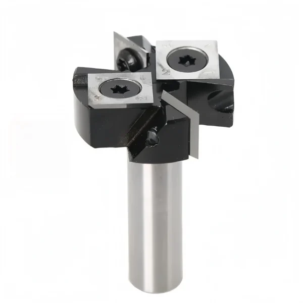 2+2 flutes bottom cleaning router bit with indexable carbide inserts — VPOINT TOOL